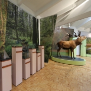 Ausstellung: BrookHus, Naturschutzzentrum Duvenstedter Brook, Hamburg
