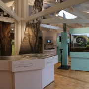 Ausstellung: BrookHus, Naturschutzzentrum Duvenstedter Brook, Hamburg