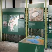 Ausstellung: Ökologische Schutzstation Steinhuder Meer, 