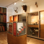 Müritzmuseum in Waren (Müritz)